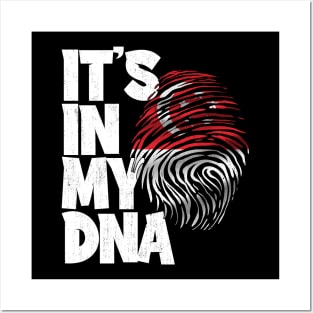 IT'S IN MY DNA Singapore Flag Men Women Kids Posters and Art